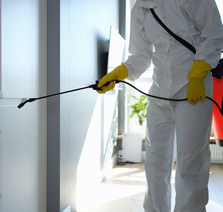 From Infestation to Prevention: Transforming Your Home with Pest Control Solutions