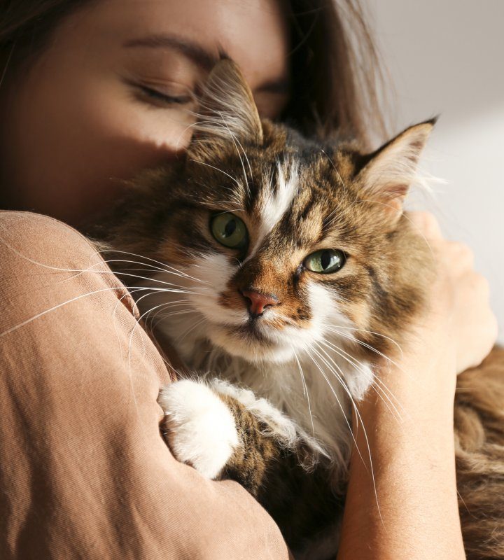 Keep Your Pet Relaxed and Happy: A Guide to Calming Supplements